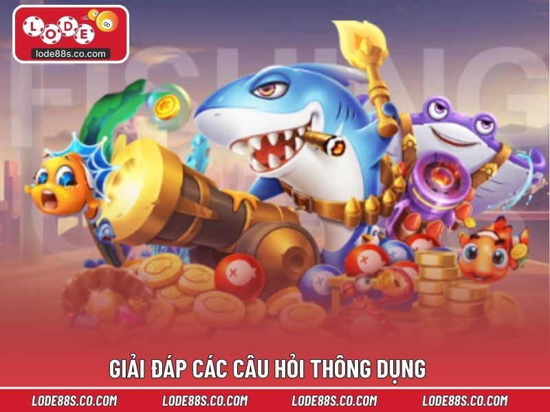 Giải đáp các câu hỏi thông dụng 