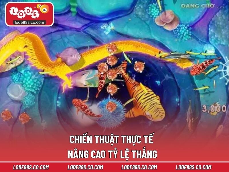 Chiến thuật thực tế nâng cao tỷ lệ thắng