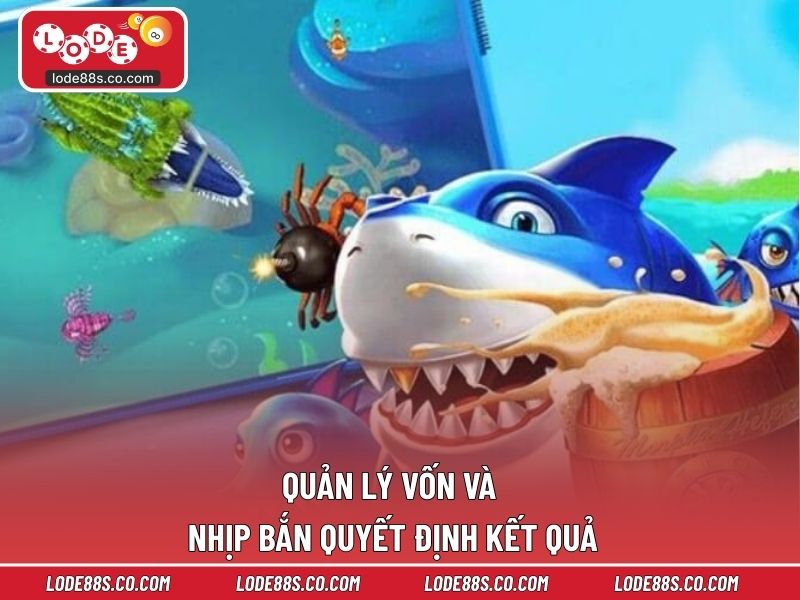 Quản lý vốn và nhịp bắn quyết định kết quả