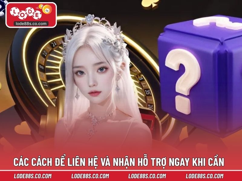 Các cách để liên hệ và nhận hỗ trợ ngay khi cần