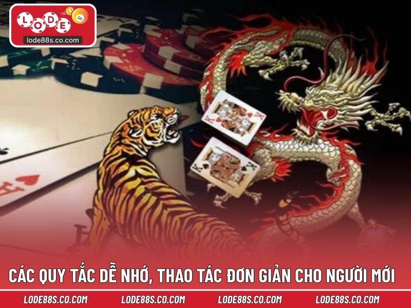 Các quy tắc dễ nhớ, thao tác đơn giản cho người mới
