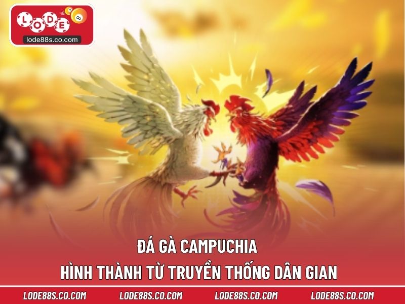 Đá gà Campuchia hình thành từ truyền thống dân gian