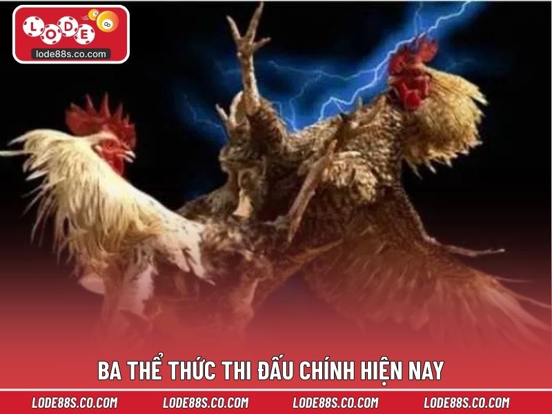 Ba thể thức thi đấu chính hiện nay