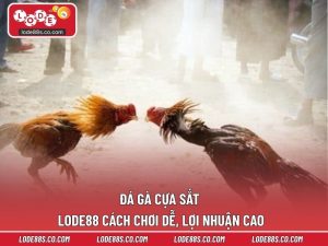 Đá Gà Cựa Sắt LODE88 - Cách Chơi Dễ, Lợi Nhuận Cao