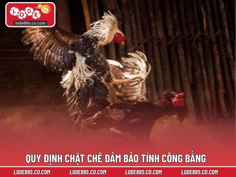 Quy định chặt chẽ đảm bảo tính công bằng