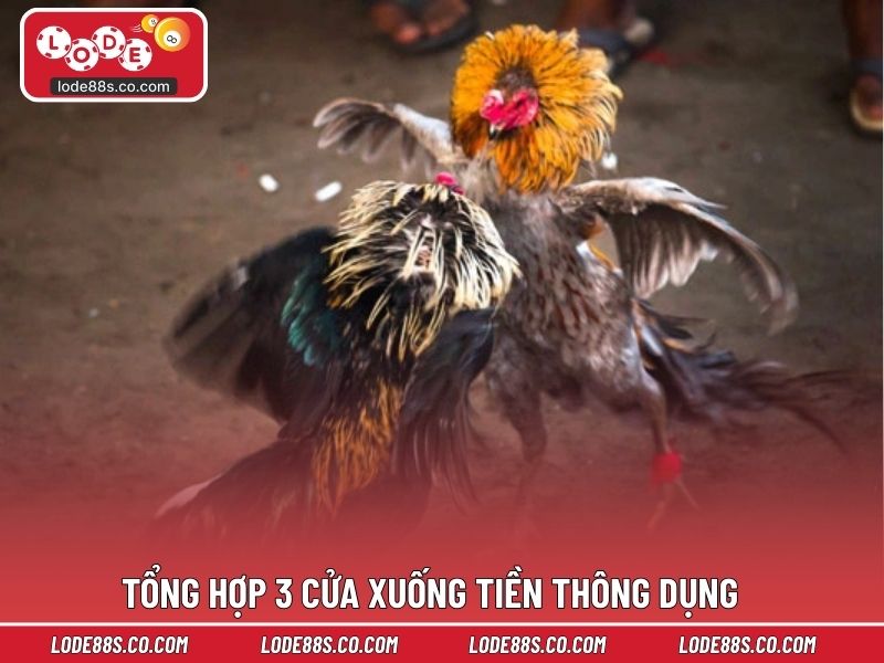 Tổng hợp 3 cửa xuống tiền thông dụng