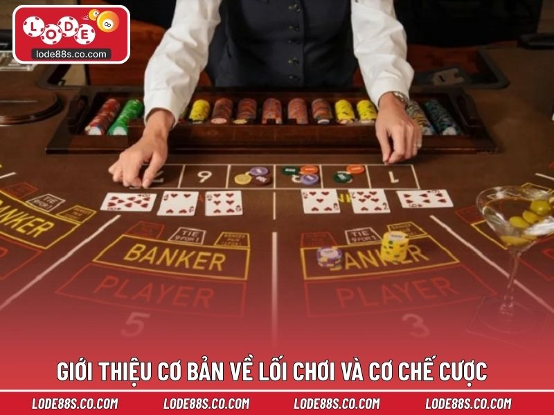 Giới thiệu cơ bản về lối chơi và cơ chế cược