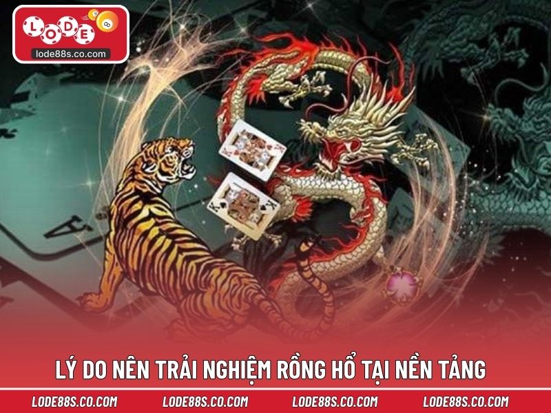 Lý do nên trải nghiệm rồng hổ tại nền tảng