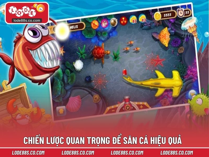 Chiến lược quan trọng để săn cá hiệu quả