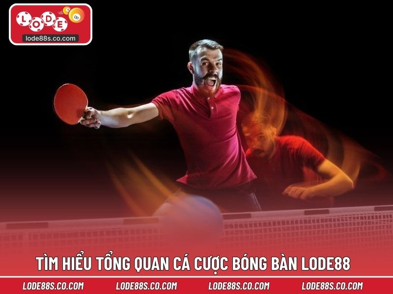 Tìm hiểu tổng quan cá cược bóng bàn LODE88